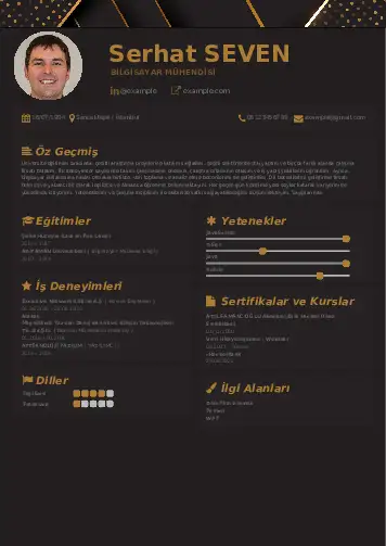 Bilgisayar Mühendisi CV Örnekleri cv indir